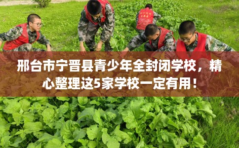 邢台市宁晋县青少年全封闭学校,精心整理这5家学校一定有用! 邢台市宁晋县青少年全封闭学校,精心整理这5家学校一定有用!