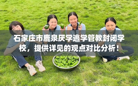 石家庄市鹿泉厌学逃学管教封闭学校,提供详见的观点对比分析! 石家庄市鹿泉厌学逃学管教封闭学校,提供详见的观点对比分析!