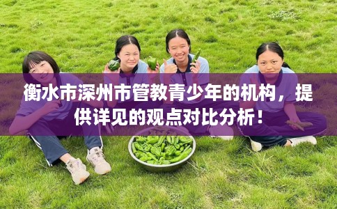 衡水市深州市管教青少年的机构,提供详见的观点对比分析! 衡水市深州市管教青少年的机构,提供详见的观点对比分析!