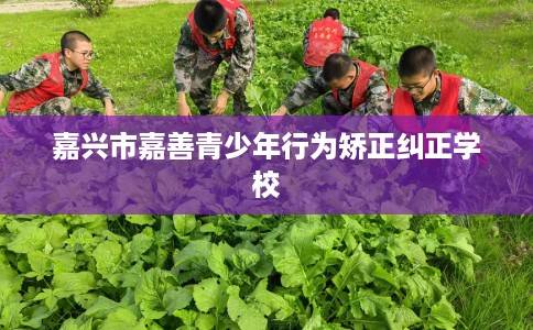 嘉兴市嘉善青少年行为矫正纠正学校 嘉兴市嘉善青少年行为矫正纠正学校