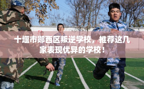 十堰市郧西区叛逆学校,推荐这几家表现优异的学校! 十堰市郧西区叛逆学校,推荐这几家表现优异的学校!