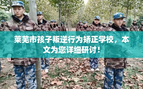 莱芜市孩子叛逆行为矫正学校,本文为您详细研讨! 莱芜市孩子叛逆行为矫正学校,本文为您详细研讨!
