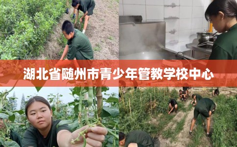 湖北省随州市青少年管教学校中心 湖北省随州市青少年管教学校中心