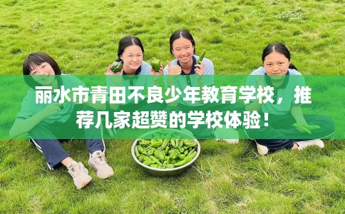 丽水市青田不良少年教育学校,推荐几家超赞的学校体验! 丽水市青田不良少年教育学校,推荐几家超赞的学校体验!