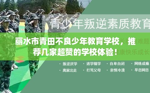 丽水市青田不良少年教育学校,推荐几家超赞的学校体验! 丽水市青田不良少年教育学校,推荐几家超赞的学校体验!