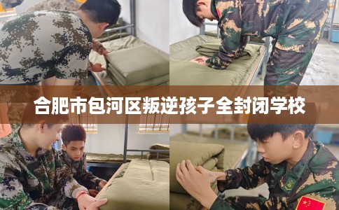 合肥市包河区叛逆孩子全封闭学校 合肥市包河区叛逆孩子全封闭学校