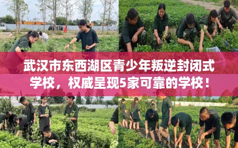 武汉市东西湖区青少年叛逆封闭式学校,权威呈现5家可靠的学校! 武汉市东西湖区青少年叛逆封闭式学校,权威呈现5家可靠的学校!