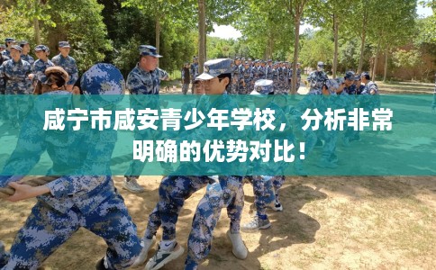 咸宁市咸安青少年学校,分析非常明确的优势对比! 咸宁市咸安青少年学校,分析非常明确的优势对比!