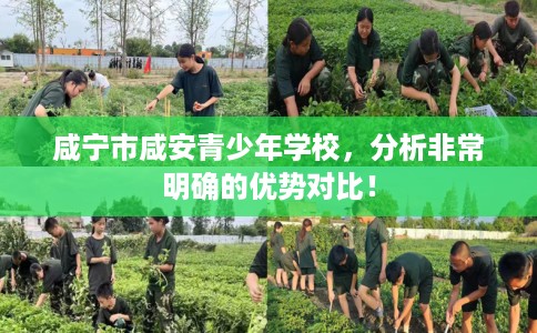咸宁市咸安青少年学校,分析非常明确的优势对比! 咸宁市咸安青少年学校,分析非常明确的优势对比!