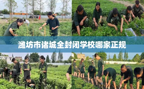 潍坊市诸城全封闭学校哪家正规 潍坊市诸城全封闭学校哪家正规