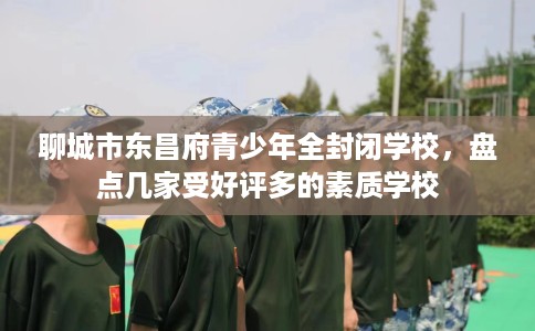 聊城市东昌府青少年全封闭学校,盘点几家受好评多的素质学校 聊城市东昌府青少年全封闭学校,盘点几家受好评多的素质学校