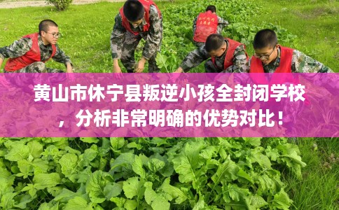 黄山市休宁县叛逆小孩全封闭学校,分析非常明确的优势对比! 黄山市休宁县叛逆小孩全封闭学校,分析非常明确的优势对比!