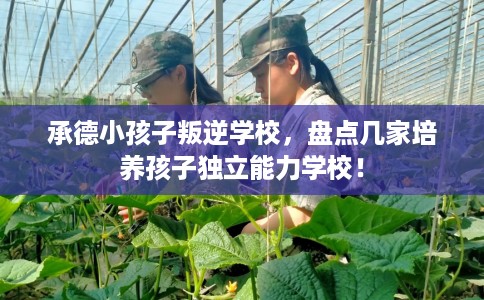 承德小孩子叛逆学校,盘点几家培养孩子独立能力学校! 承德小孩子叛逆学校,盘点几家培养孩子独立能力学校!