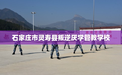 石家庄市灵寿县叛逆厌学管教学校 石家庄市灵寿县叛逆厌学管教学校