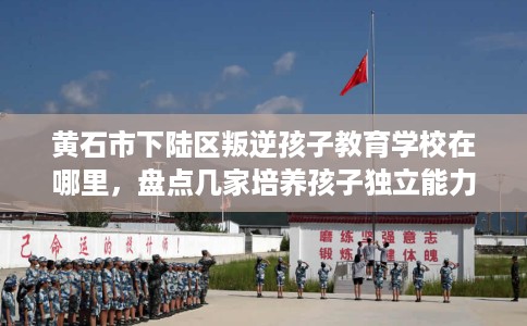 黄石市下陆区叛逆孩子教育学校在哪里,盘点几家培养孩子独立能力学校! 黄石市下陆区叛逆孩子教育学校在哪里,盘点几家培养孩子独立能力学校!