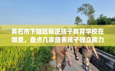 黄石市下陆区叛逆孩子教育学校在哪里,盘点几家培养孩子独立能力学校! 黄石市下陆区叛逆孩子教育学校在哪里,盘点几家培养孩子独立能力学校!