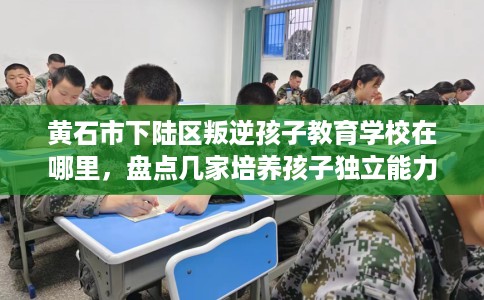黄石市下陆区叛逆孩子教育学校在哪里,盘点几家培养孩子独立能力学校! 黄石市下陆区叛逆孩子教育学校在哪里,盘点几家培养孩子独立能力学校!