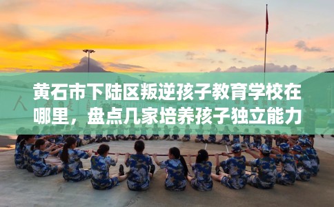 黄石市下陆区叛逆孩子教育学校在哪里,盘点几家培养孩子独立能力学校! 黄石市下陆区叛逆孩子教育学校在哪里,盘点几家培养孩子独立能力学校!