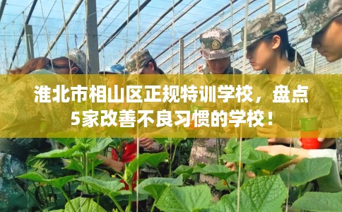 淮北市相山区正规特训学校,盘点5家改善不良习惯的学校! 淮北市相山区正规特训学校,盘点5家改善不良习惯的学校!