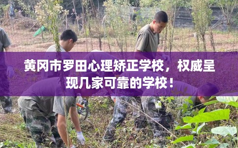 黄冈市罗田心理矫正学校,权威呈现几家可靠的学校! 黄冈市罗田心理矫正学校,权威呈现几家可靠的学校!