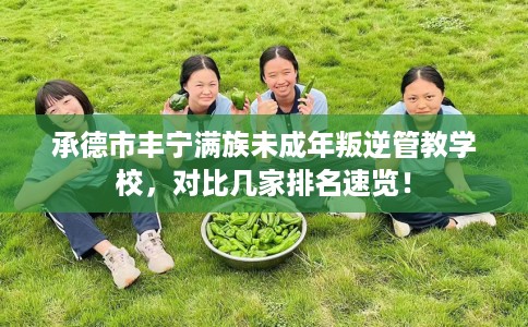 承德市丰宁满族未成年叛逆管教学校,对比几家排名速览! 承德市丰宁满族未成年叛逆管教学校,对比几家排名速览!