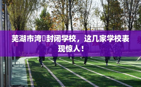 芜湖市湾沚封闭学校，这几家学校表现惊人！