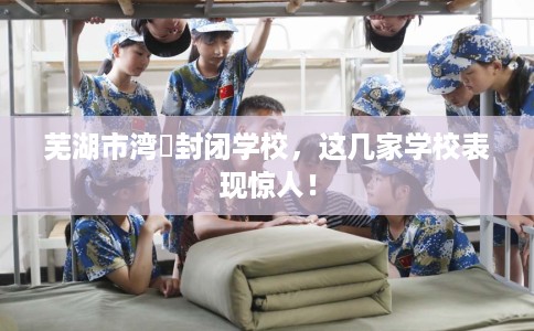 芜湖市湾沚封闭学校，这几家学校表现惊人！