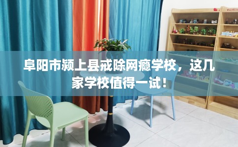 阜阳市颍上县戒除网瘾学校,这几家学校值得一试! 阜阳市颍上县戒除网瘾学校,这几家学校值得一试!