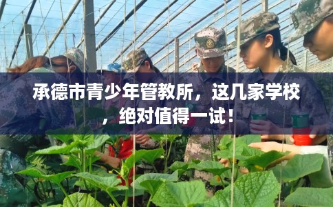 承德市青少年管教所,这几家学校,绝对值得一试! 承德市青少年管教所,这几家学校,绝对值得一试!