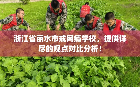 浙江省丽水市戒网瘾学校,提供详尽的观点对比分析! 浙江省丽水市戒网瘾学校,提供详尽的观点对比分析!