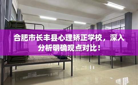 合肥市长丰县心理矫正学校,深入分析明确观点对比! 合肥市长丰县心理矫正学校,深入分析明确观点对比!
