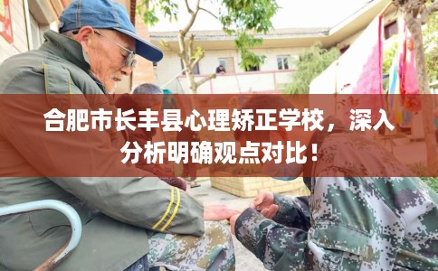 合肥市长丰县心理矫正学校,深入分析明确观点对比! 合肥市长丰县心理矫正学校,深入分析明确观点对比!