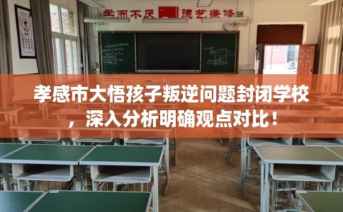 孝感市大悟孩子叛逆问题封闭学校,深入分析明确观点对比! 孝感市大悟孩子叛逆问题封闭学校,深入分析明确观点对比!