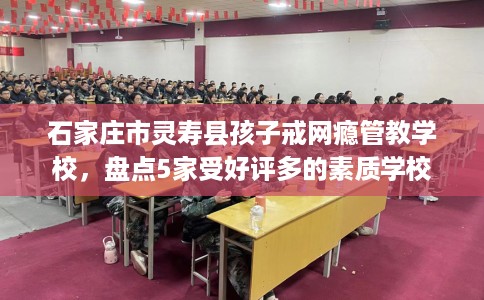石家庄市灵寿县孩子戒网瘾管教学校,盘点5家受好评多的素质学校 石家庄市灵寿县孩子戒网瘾管教学校,盘点5家受好评多的素质学校