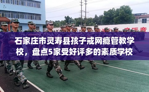 石家庄市灵寿县孩子戒网瘾管教学校,盘点5家受好评多的素质学校 石家庄市灵寿县孩子戒网瘾管教学校,盘点5家受好评多的素质学校