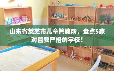 山东省莱芜市儿童管教所,盘点5家对管教严格的学校! 山东省莱芜市儿童管教所,盘点5家对管教严格的学校!
