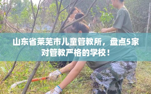 山东省莱芜市儿童管教所,盘点5家对管教严格的学校! 山东省莱芜市儿童管教所,盘点5家对管教严格的学校!