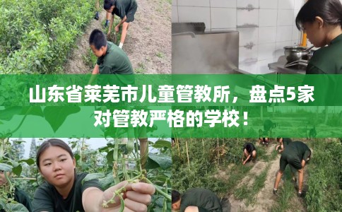 山东省莱芜市儿童管教所,盘点5家对管教严格的学校! 山东省莱芜市儿童管教所,盘点5家对管教严格的学校!