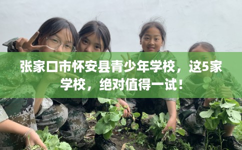 张家口市怀安县青少年学校,这5家学校,绝对值得一试! 张家口市怀安县青少年学校,这5家学校,绝对值得一试!