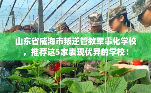 山东省威海市叛逆管教军事化学校,推荐这5家表现优异的学校! 山东省威海市叛逆管教军事化学校,推荐这5家表现优异的学校!