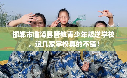 邯郸市临漳县管教青少年叛逆学校,这几家学校真的不错! 邯郸市临漳县管教青少年叛逆学校,这几家学校真的不错!