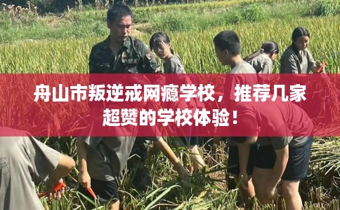 舟山市叛逆戒网瘾学校,推荐几家超赞的学校体验! 舟山市叛逆戒网瘾学校,推荐几家超赞的学校体验!