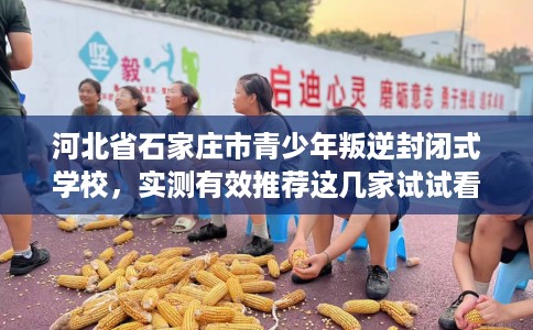 河北省石家庄市青少年叛逆封闭式学校,实测有效推荐这几家试试看! 河北省石家庄市青少年叛逆封闭式学校,实测有效推荐这几家试试看!