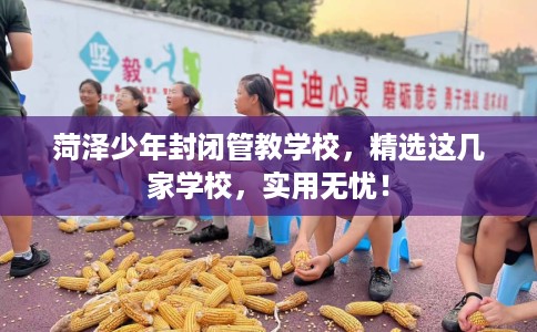 菏泽少年封闭管教学校,精选这几家学校,实用无忧! 菏泽少年封闭管教学校,精选这几家学校,实用无忧!