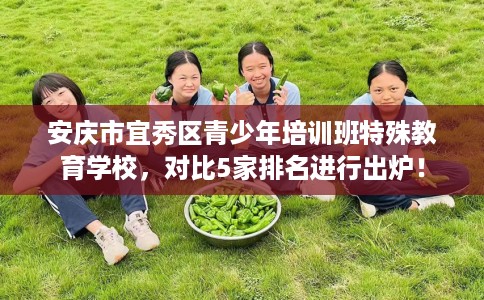 安庆市宜秀区青少年培训班特殊教育学校,对比5家排名进行出炉! 安庆市宜秀区青少年培训班特殊教育学校,对比5家排名进行出炉!