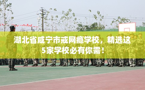 湖北省咸宁市戒网瘾学校,精选这5家学校必有你需! 湖北省咸宁市戒网瘾学校,精选这5家学校必有你需!