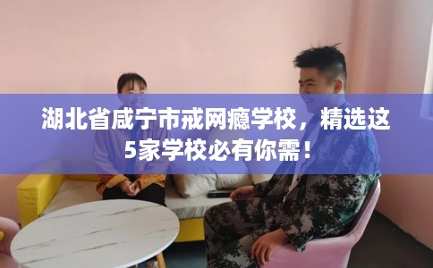 湖北省咸宁市戒网瘾学校,精选这5家学校必有你需! 湖北省咸宁市戒网瘾学校,精选这5家学校必有你需!
