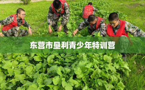 东营市垦利青少年特训营 东营市垦利青少年特训营