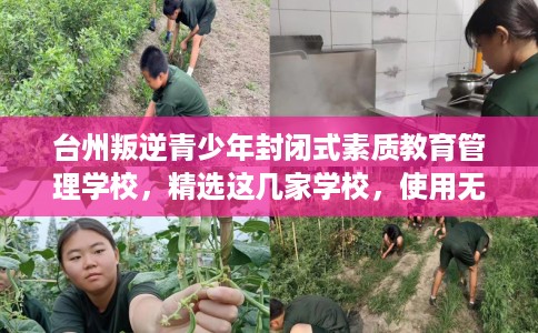 台州叛逆青少年封闭式素质教育管理学校,精选这几家学校,使用无忧! 台州叛逆青少年封闭式素质教育管理学校,精选这几家学校,使用无忧!