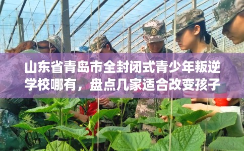 山东省青岛市全封闭式青少年叛逆学校哪有,盘点几家适合改变孩子的学校! 山东省青岛市全封闭式青少年叛逆学校哪有,盘点几家适合改变孩子的学校!